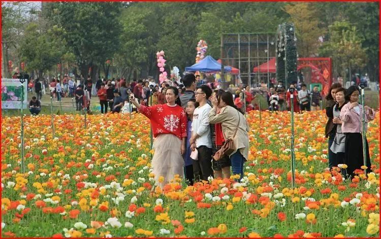 桃李醉春风,花开在山岗