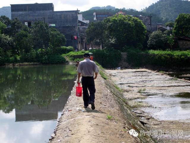 厉害了防城港那良镇喜获国字号名片