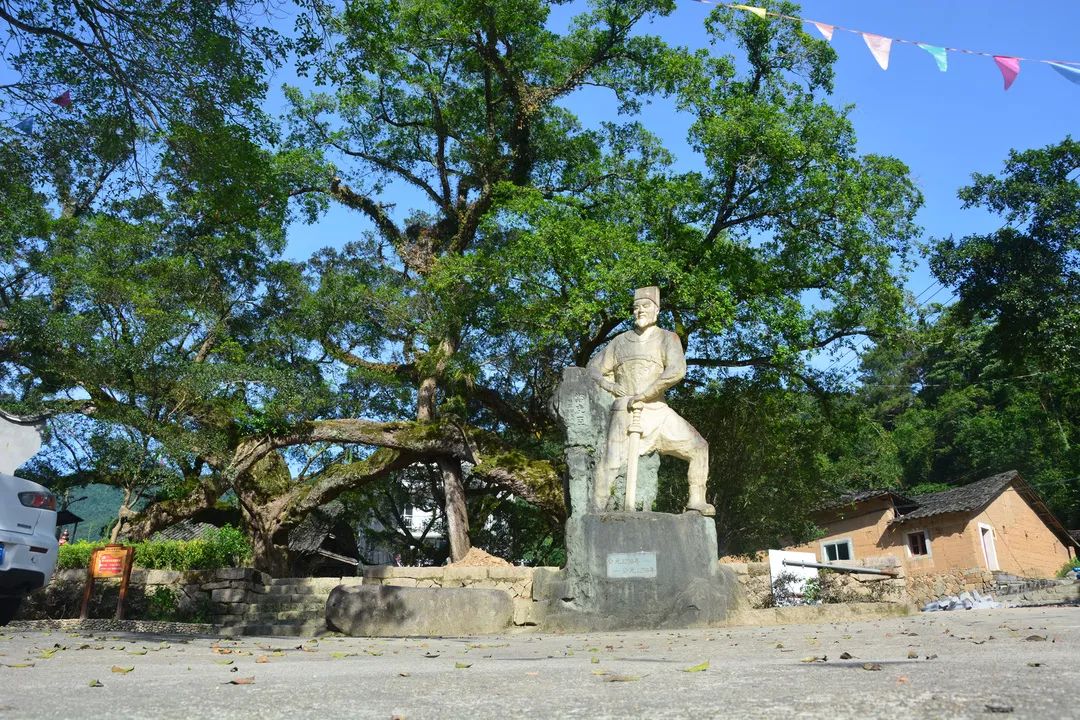 新春放飞心情,福安这一片乡村风景你不可不去!_闽东