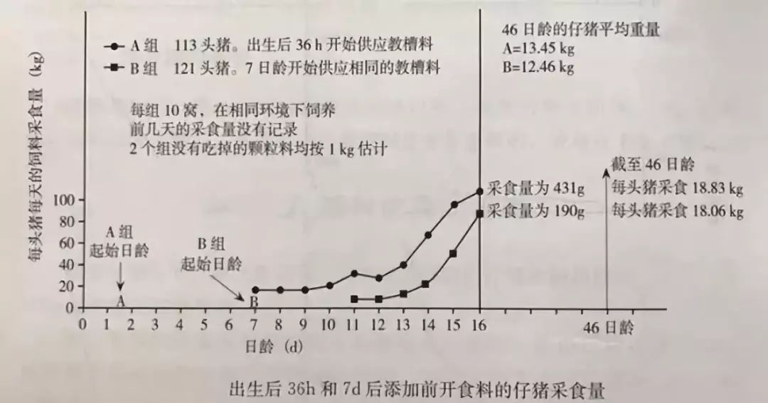 2019是金猪还是银猪注意这一点才能多赚钱