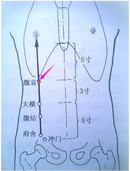 5寸《铜人腧穴针灸图经》;大横上4寸《针