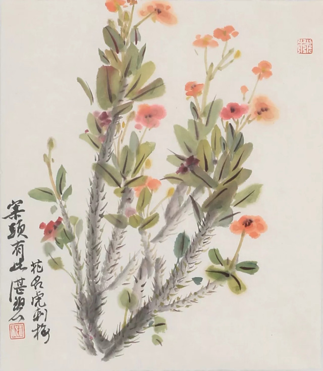 林玉祝 虎刺梅 26×28.5cm 设色纸本 镜心