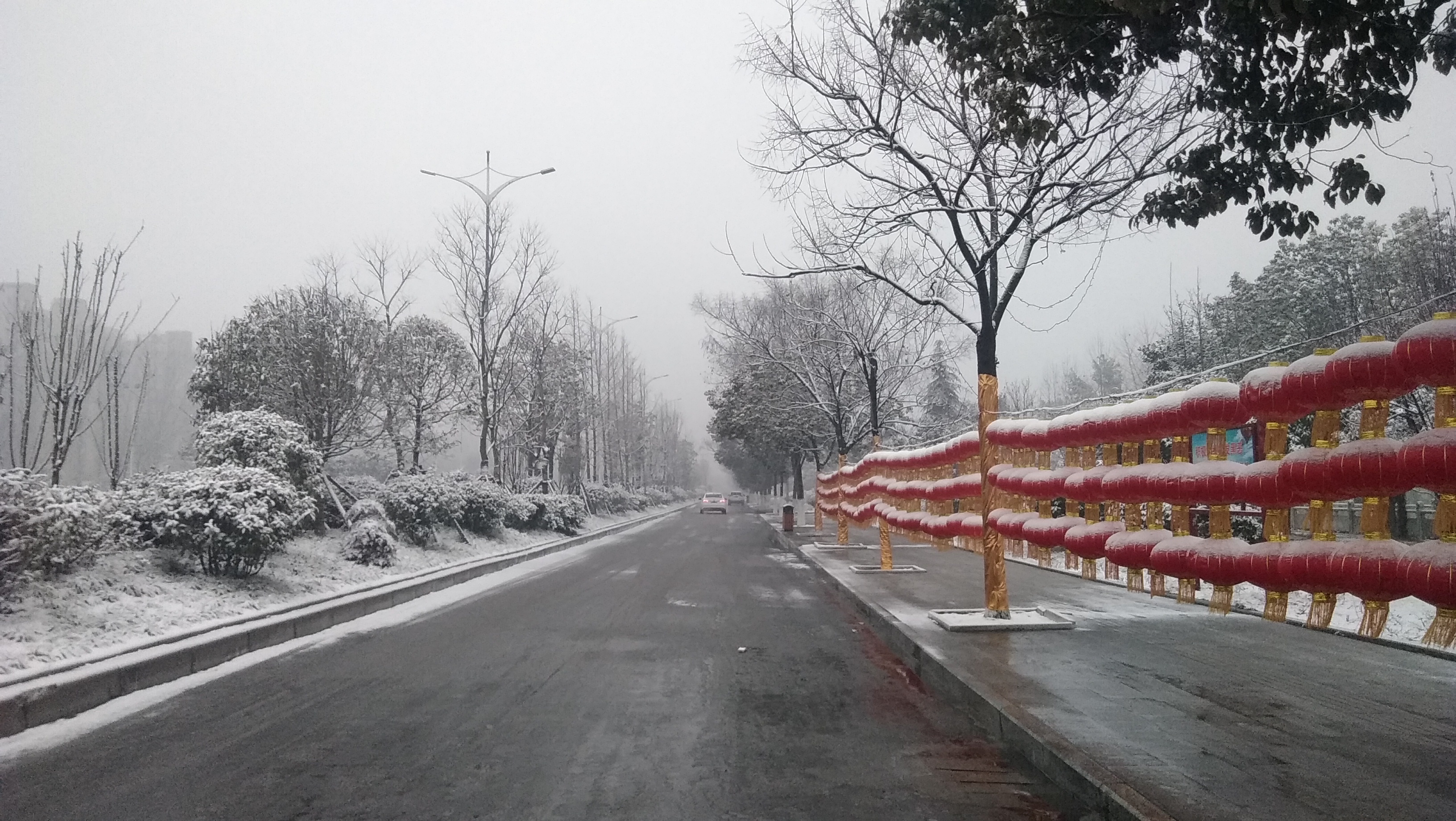 2019春节过后,雨雪又双叒叕来了,南阳雪景美如画