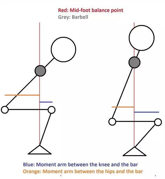 深蹲的几何透视分析