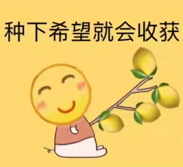 不带任何表情吃柠檬