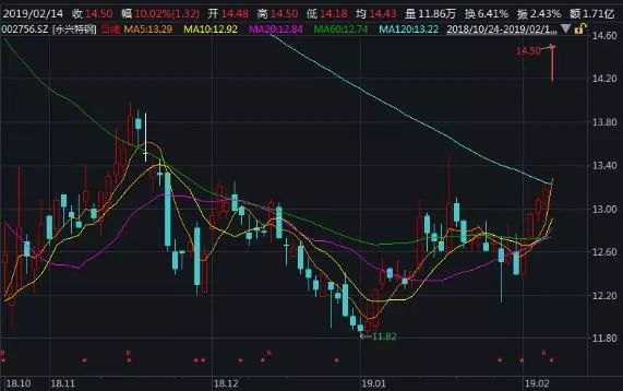 【市場聚焦2-15】股息率7.6%，情人節送出大紅包，這份名單請收藏 財經 第1張