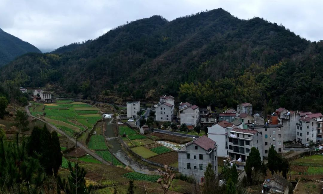 地点:通玄寺 拍摄:"天台度过" 地点:通玄寺 拍摄:天马 地点:洪畴镇