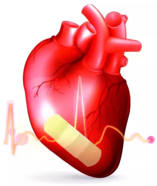 科学家发明神奇创可贴,竟然可以修复心脏