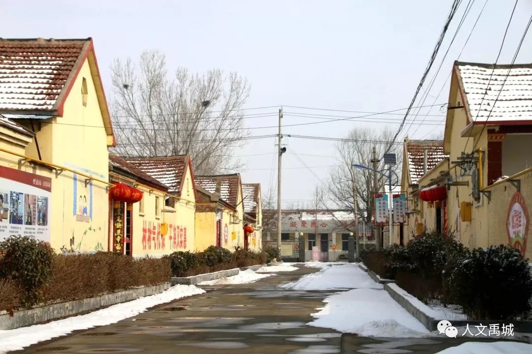 禹城的乡村雪景,太漂亮了,这是哪里?