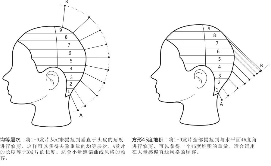 【上图圆形堆积】 层次 是创造一款发型的基本要素 底层次:0-45度