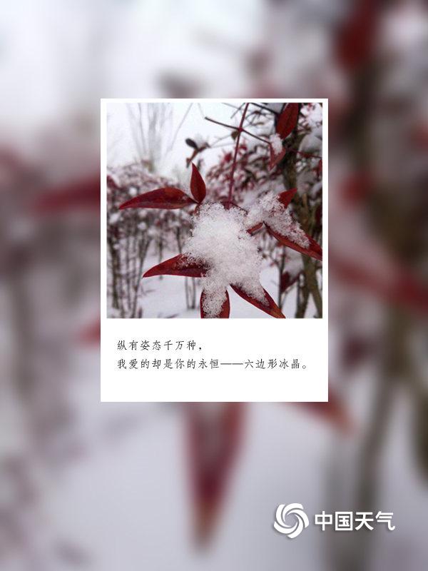 2019年情人节独家记忆 浪漫的雪天情话