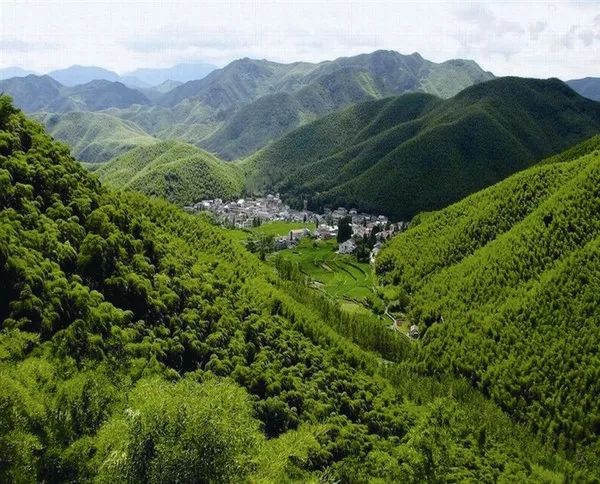 莫干山