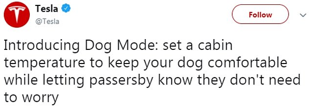 特斯拉推出「狗狗模式」：鎖車後仍可保持空調啟動 未分類 第2張