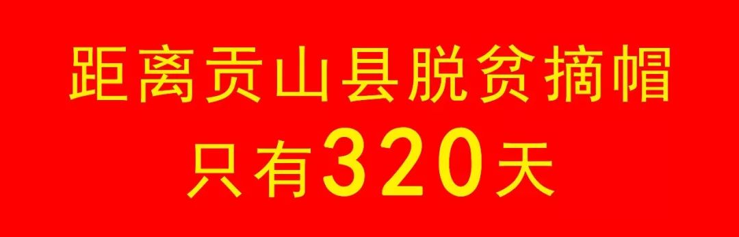 贡山人口总数_科研人员摸清高黎贡山西坡怒江金丝猴种群数量(2)