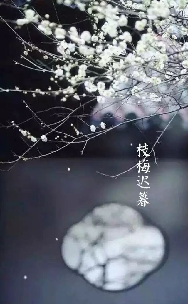 却话巴山夜雨时.