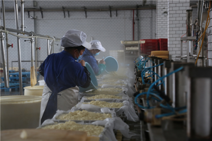 贵州龙缘盛豆业有限公司的生产车间,工人正在加工豆腐 返回搜