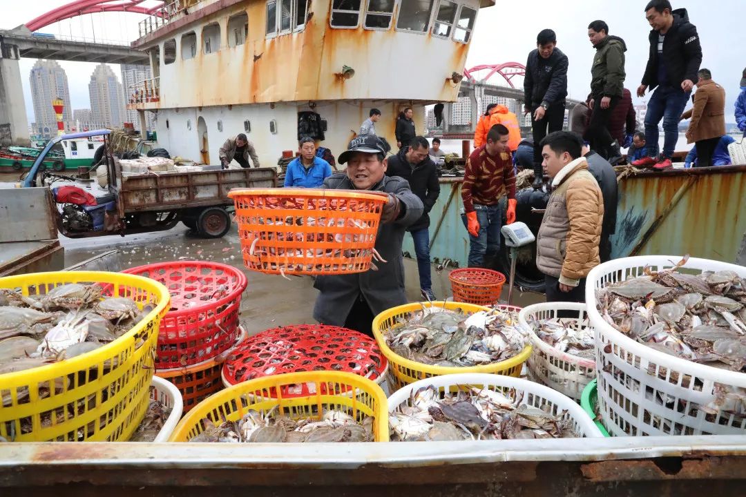 吃货年后水海鲜上市了舟山市场菜价回落了