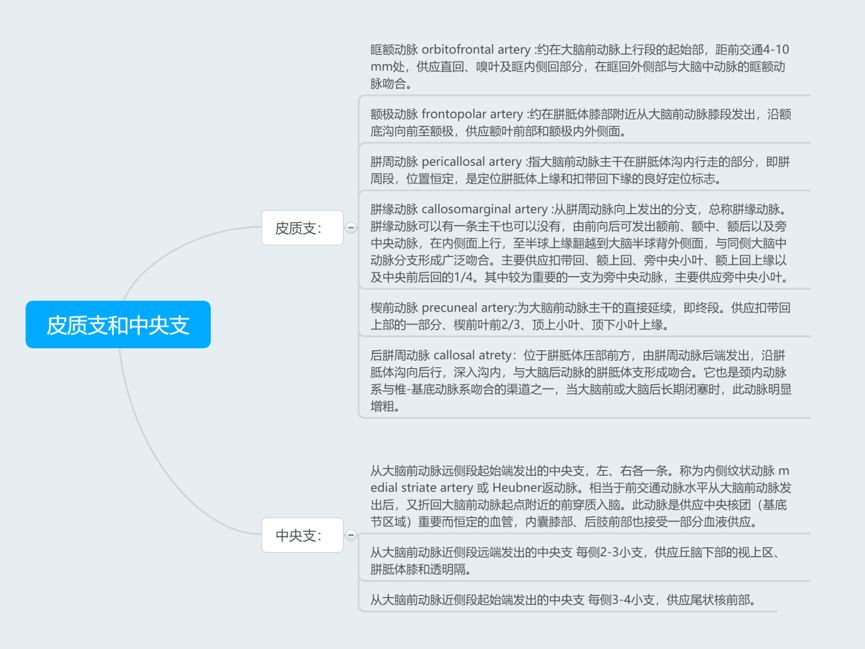 脑血管解剖思维导图满满的干货