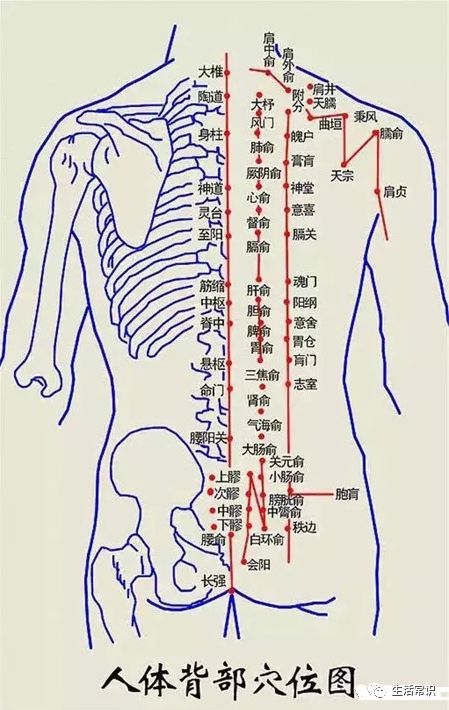 就能检测出人体的很多重要健康指标一样,中医通过一条经络上的12个