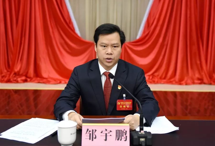 区委书记,玉林中医药健康产业园党工委书记邹宇鹏代表区委常委会作