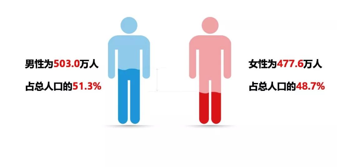 人口男性_人口普查(2)