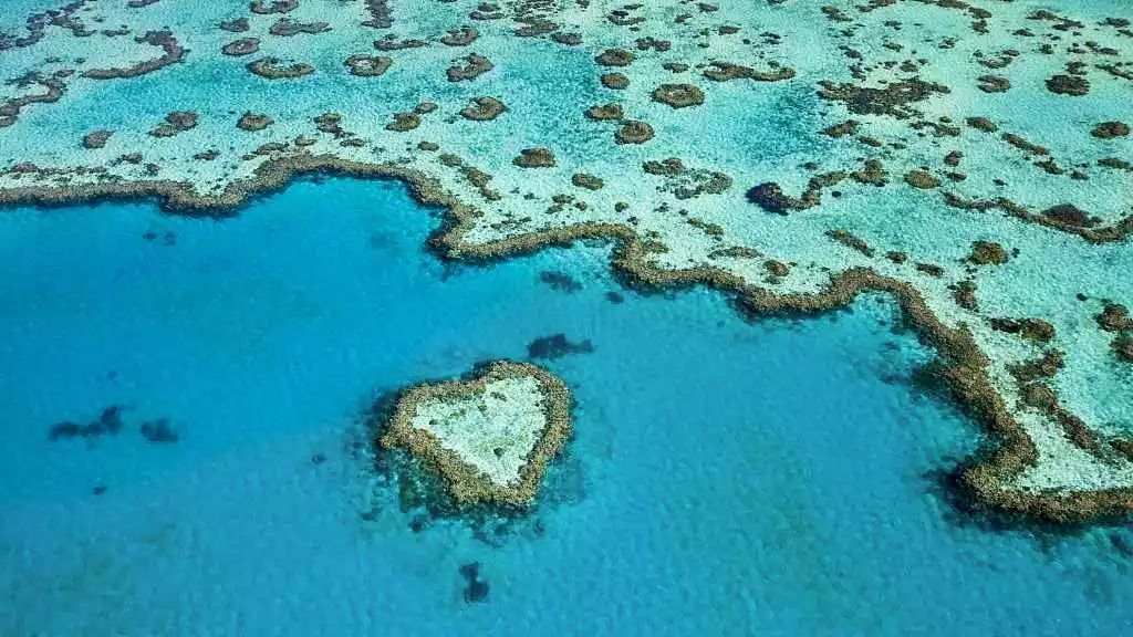 great barrier reef, australia 澳大利亚大堡礁