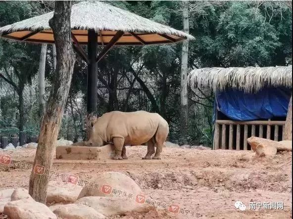 什么望月的四字成语_四星望月图片(3)