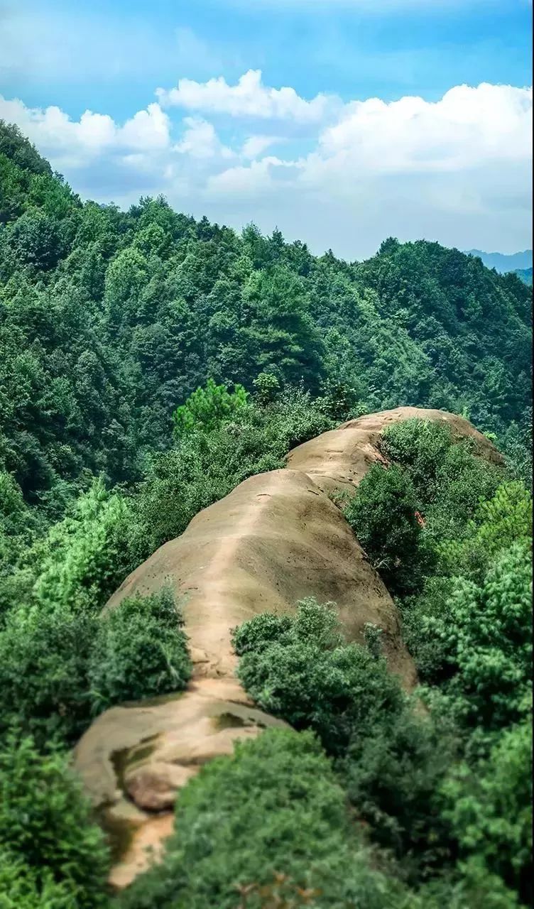 而綦江也有属于自己的"华山"——牯牛背.