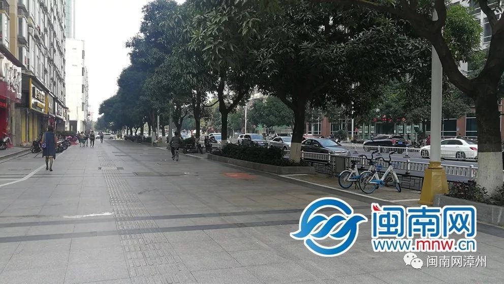 近日,漳州市区胜利路,南昌路等10条主次干道人行道试点实行物理隔离"