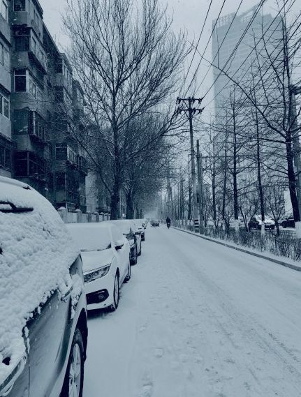 沈阳终于下雪了!你看看这雪,多白