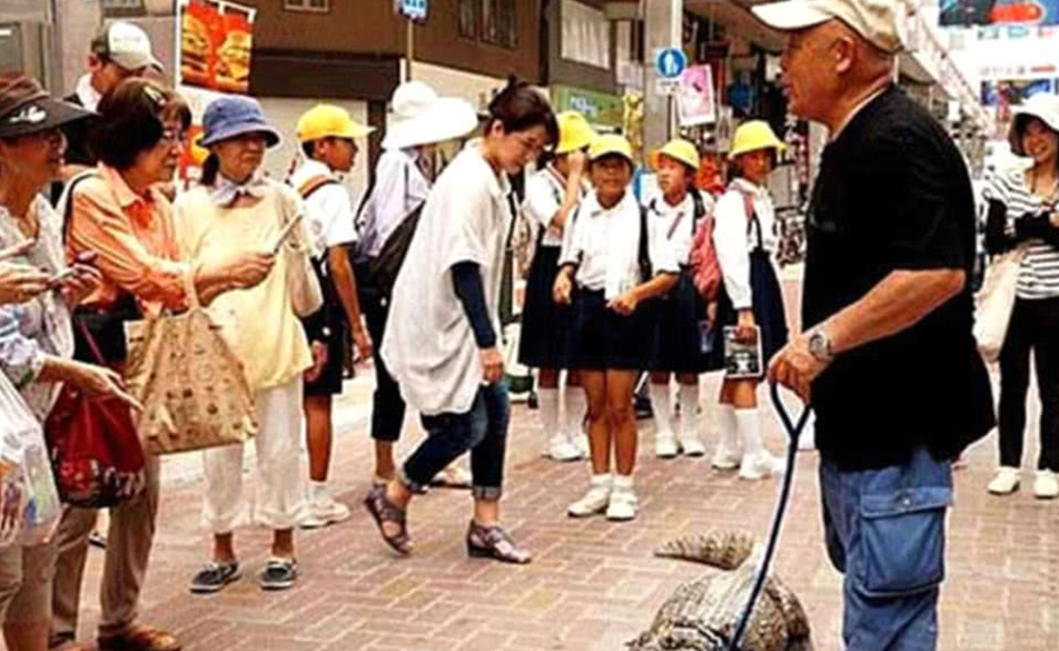 男子養奇葩寵物作伴，給它刷牙陪它睡覺，相處場面人望而生畏 寵物 第3張