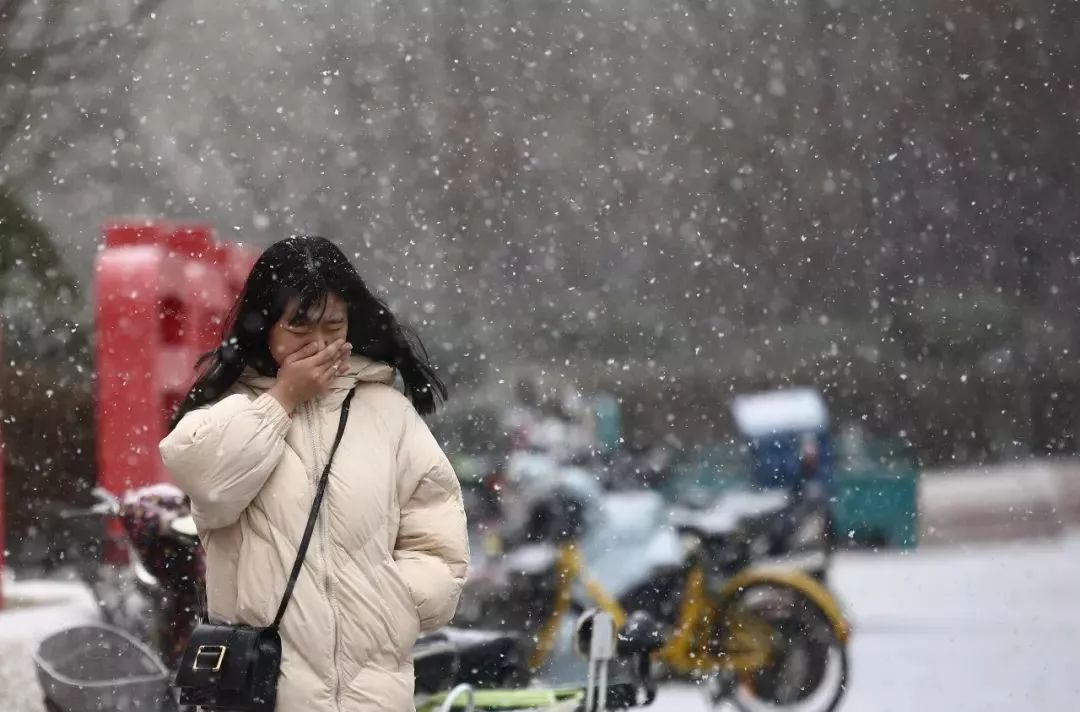 最高温达27℃！今年龙华人的倒春寒和回南天还会来吗