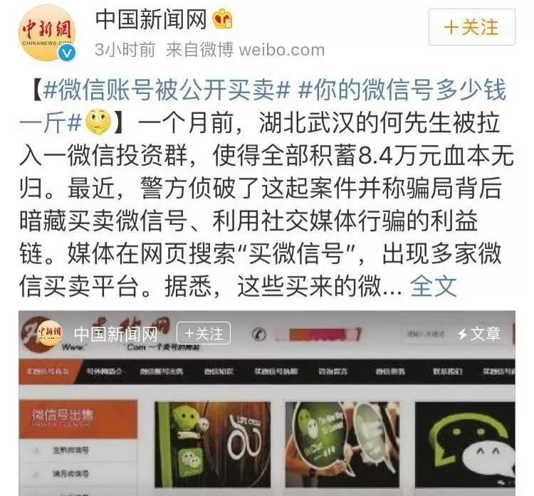 WS实名半年号：揭秘网络世界的新风向