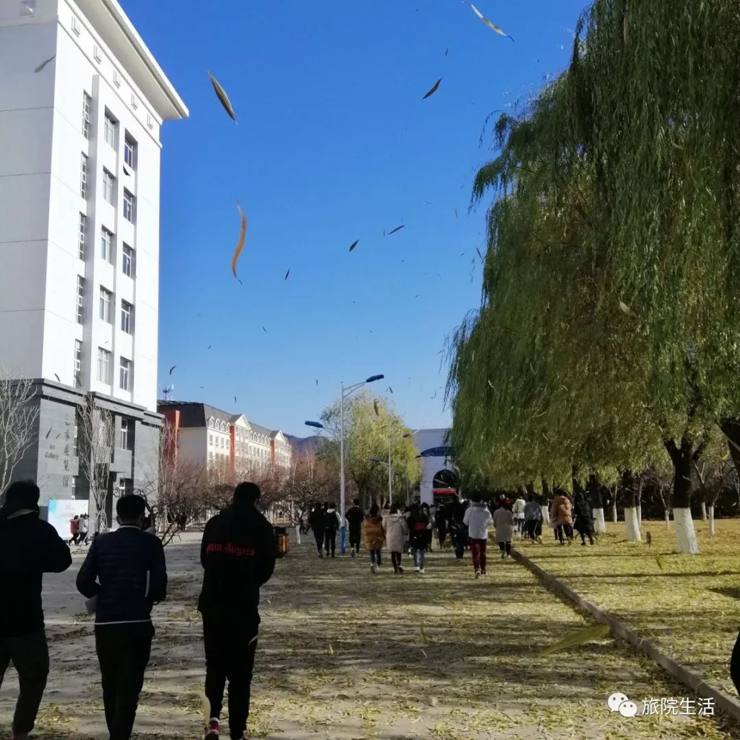 想念操场上欢快奔跑的同学 河北旅游职业学院 你可知现在的我有多想念