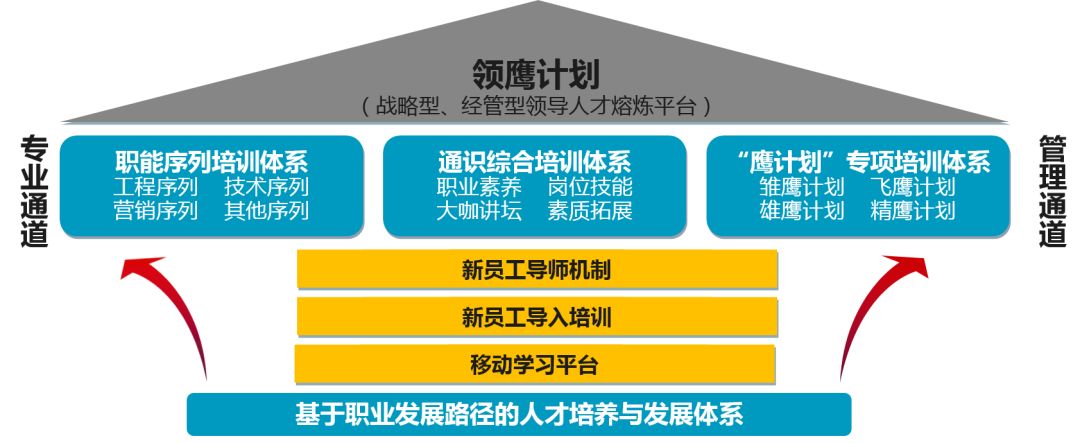 两大类别三大体系,基于职业"双通道"的分类分层人才培养与发展系统,为