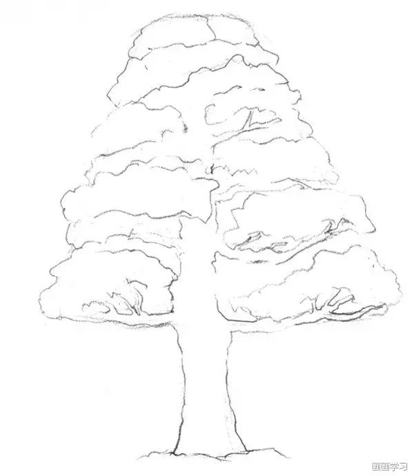 素描教程丨教你怎样画树,超详细教程,不看白不看
