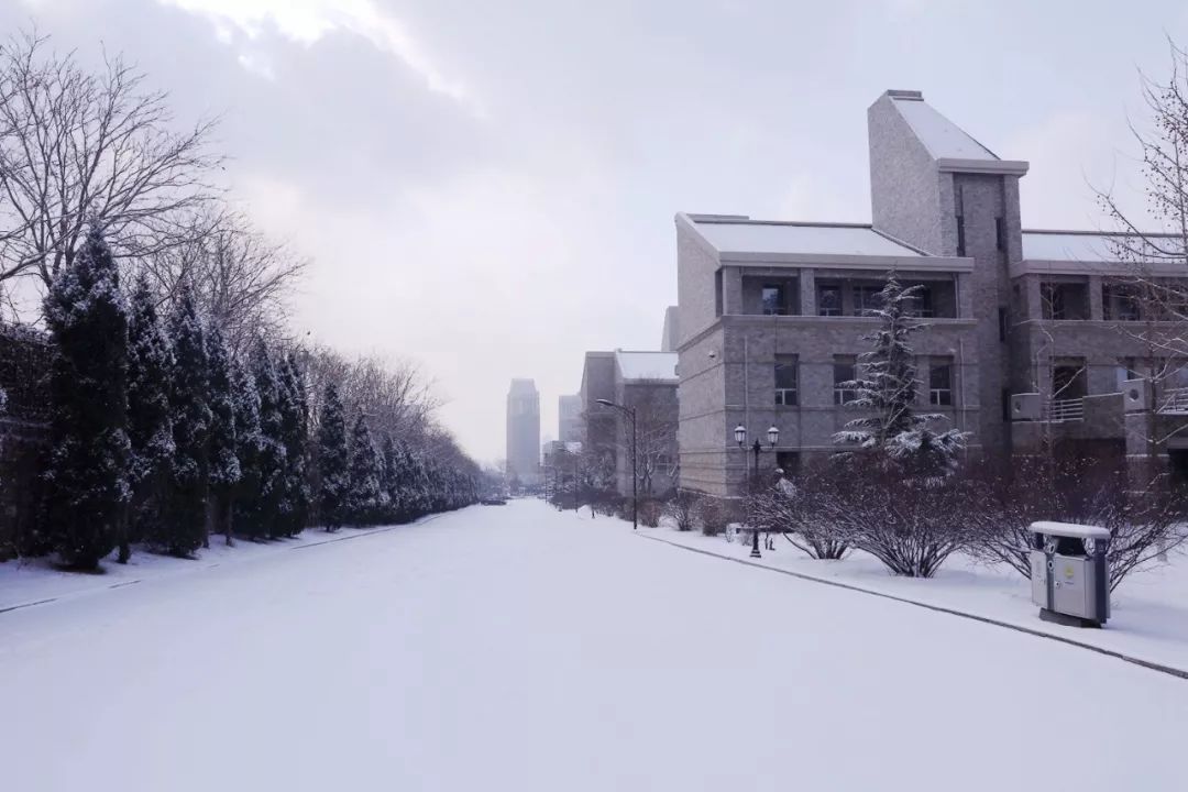 快看!这是你的大连东软信息"雪园"