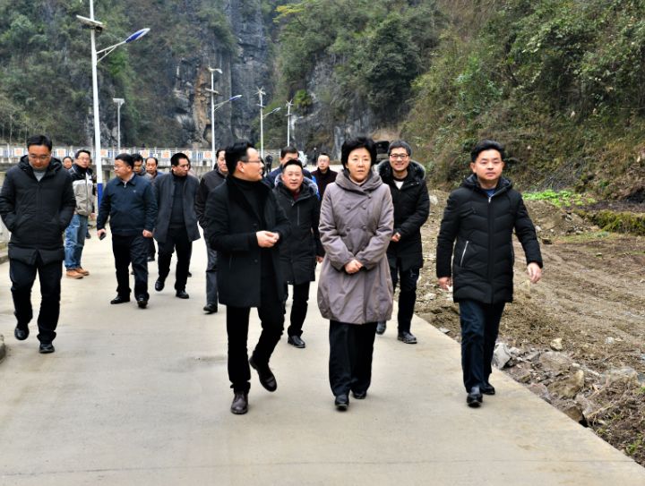 李静实地走访宝坪食用菌基地,仁贵专业合作社药材加工厂,天元乡农特