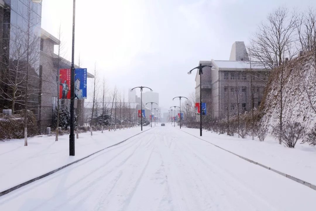 快看!这是你的大连东软信息"雪园"