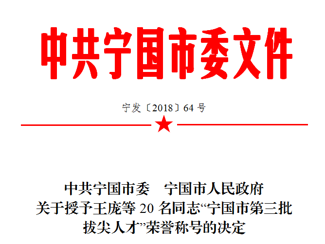 点赞市委市政府授予这20名同志宁国市第三批拔尖人才荣誉称号