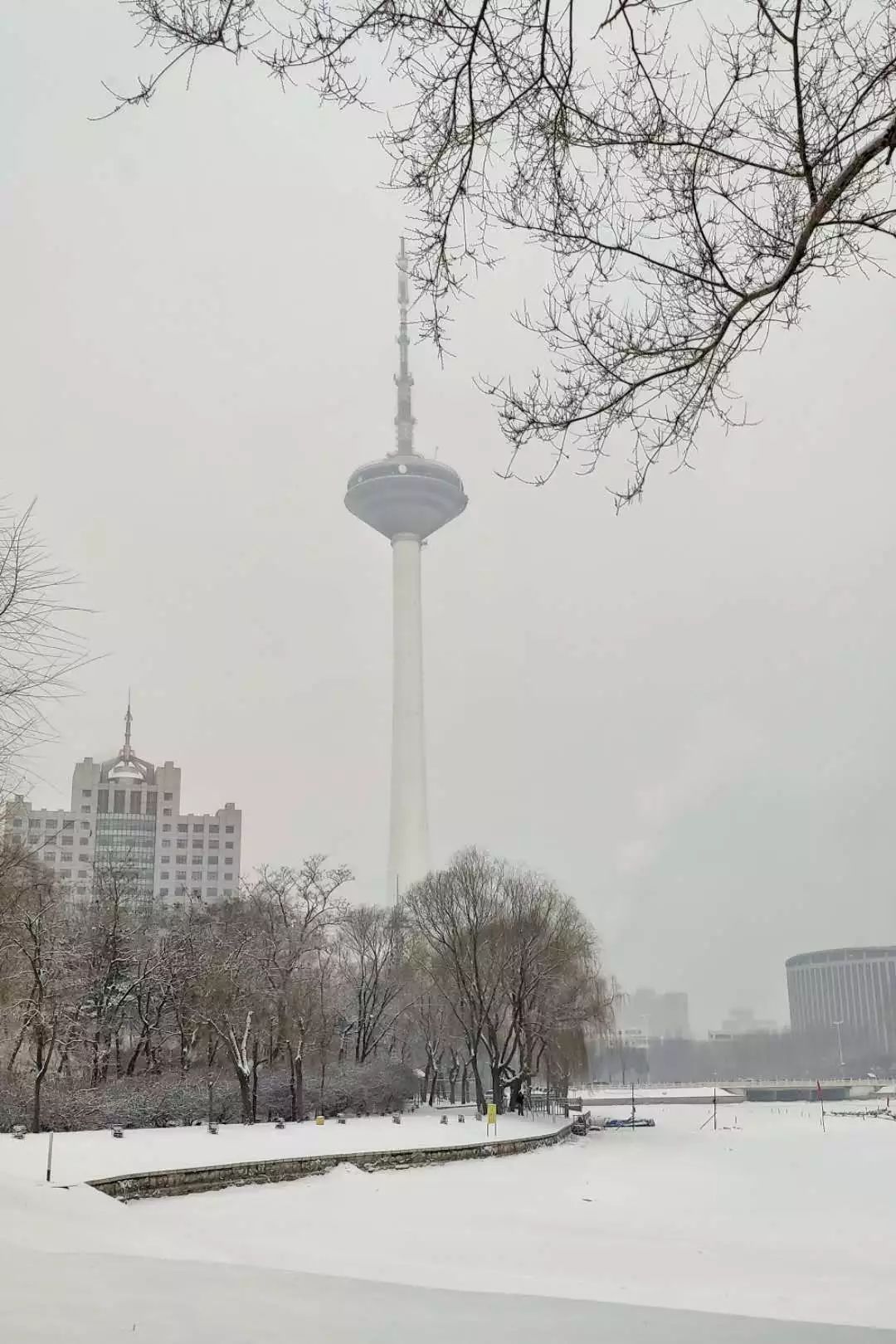 一场雪沈阳如同盛装出席惊艳了全国