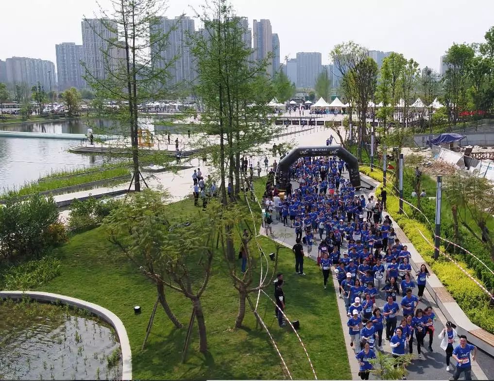 白鹭等水禽来这里栖息和觅食 满足你对大自然的热爱 新川之心公园