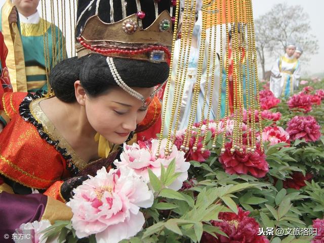 央视发布洛阳城市宣传片，牡丹盛开时心归洛阳城！