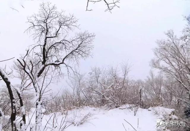 飞雪迎春 光影逐梦:致敬易县摄影人