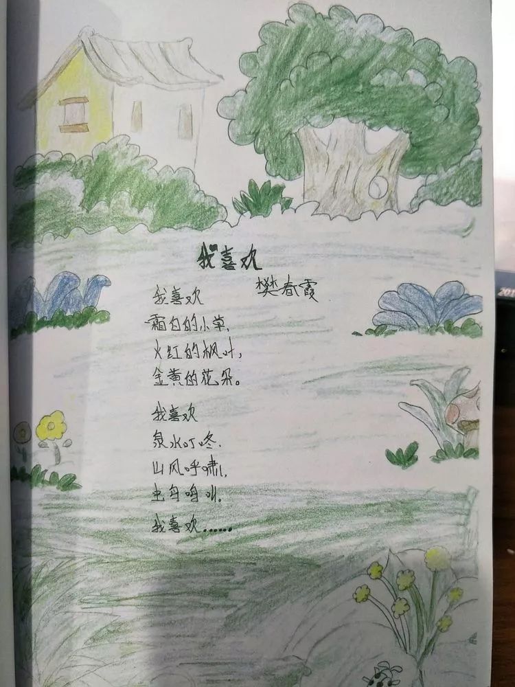 彩虹花实践案例|给诗歌配画,用美的艺术唤醒沉睡的心灵