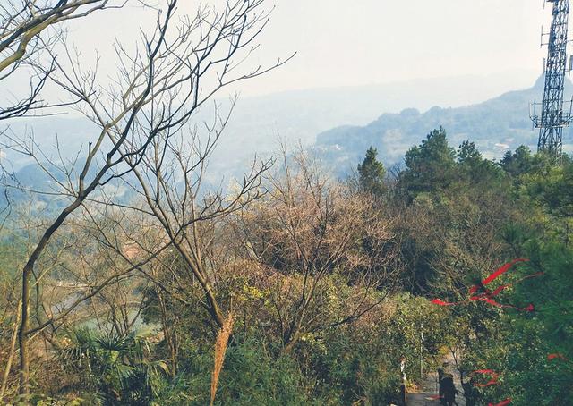 圣灯山有点远,最好开车去,而且很好停车,有个专门的停车坝坝,小轿车