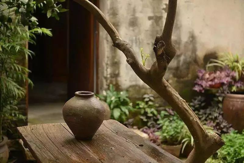 老院子,美到骨子里_风景