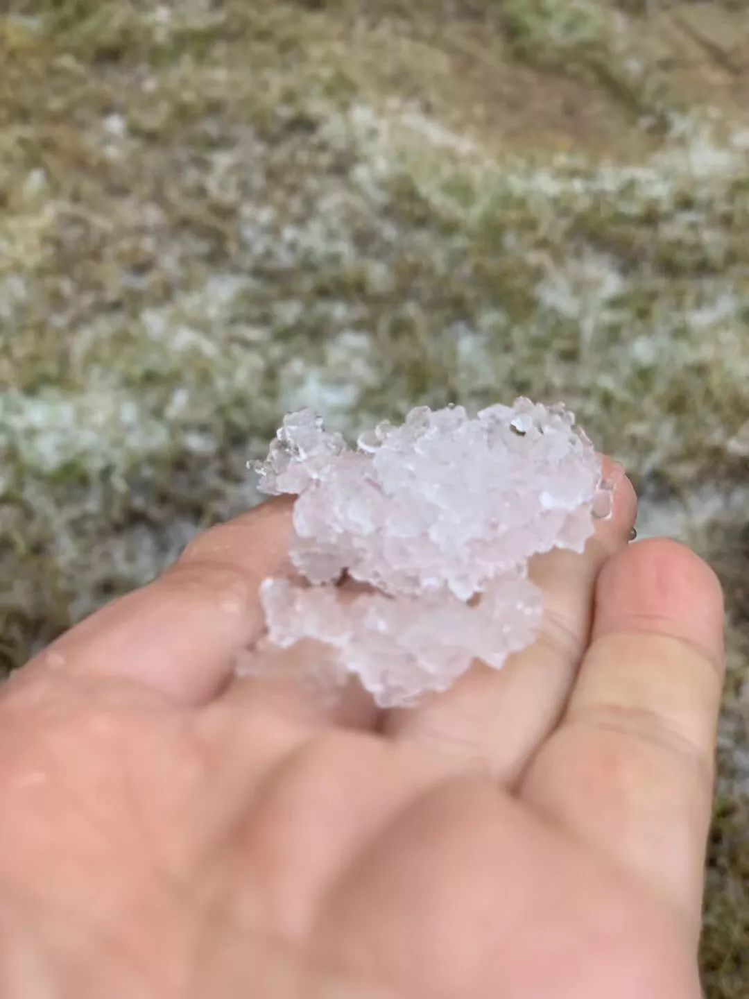 市区下雪雨夹雪雪子雨我们待的是同个宁波今冬日照时数破纪录接下来