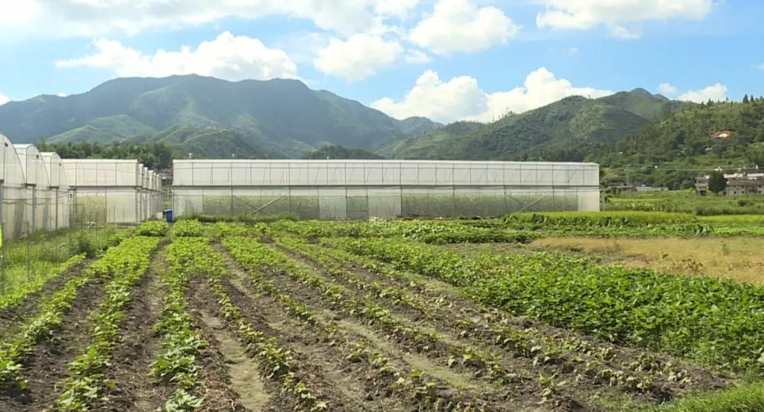 鹤市镇人口_我的家乡龙川鹤市镇,一个山美水美的地方