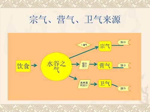 中医之气元气营气卫气和宗气收了吧